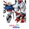 MG Aile Strike Gundam Ver.RM