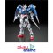 RG 018 GN-0000+GNR-010 00 Raiser