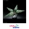 MGSD KSHATRIYA