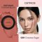 Catrice Soft Blur Powder Blush 010