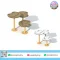 แท่นก้าวอุ้งเท้าสุนัข อุปกรณ์ Dog Agility ผลิตจากโครงเหล็กกัลวาไนซ์และแผ่น PE สำหรับฝึกการก้าว การทรงตัว และการประสานงานของสุนัข by Sealplay