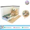 Mini Ball Pit Castle ห้องบอลในร่มขนาดเล็ก พร้อมบ่อบอล สไลเดอร์ และโซนกิจกรรมสำหรับเด็กเล็ก