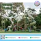 T-Rex Jungle Adventure playground with dinosaur skeleton and tunnel slide by Sealplay