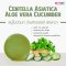 สบู่ใบบัวบก ว่านหางจระเข้ แตงกวา (CENTELLA ASIATICA ALOE VERA CUCUMBER)