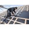 BOSCH เลื่อยวงเดือนไร้สาย 6 นิ้ว รุ่น GKS 18V-57-2 GX