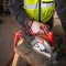 MILWAUKEE M18 FCS66GR3-0 เลื่อยวงเดือนไร้สาย ขนาด 7-1/4"