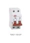 Circuit Breaker 2P 20A