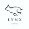 LYNX Coffee ตลาดพลู | เครื่องทำน้ำแข็งเจ็นไอซ์