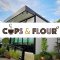 Cups & Flour | - เครื่องทำน้ำแข็งเจ็นไอซ์