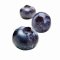 Blueberry Puree 100% : Boiron 1 Kg.