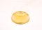 E93-G Gold@25