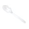 SB08S/C Clear Plastic Spoon@100