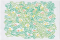 นกลับในเงาไม้ (The Secret Birds)