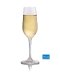 1019F06 Lexington Flute Champagne