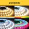 Lampo LED Strip light รุ่น SINGLE