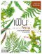 หนังสือ เฟิน All about Ferns รวมชนิดและพันธุ์ปลูกสำหรับคนรักเฟิน
