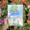 หนังสือ Meet Me When the Lemon Tree Grows #เด็กชายเลมอน