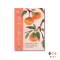 หนังสือ SHIBUI ศิลปะการมองเห็นความงามแห่งวัย (ปกแข็ง)