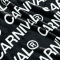 CARNIVAL Monogram Blanket