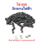 โซ่ 410 เฟืองจักรยาน 114 ซี่ 410 Chain ใช้กับเฟือง สเตอร์ 410 Fix Sprocket ฟัน อะไหล่ โซ่ สำหรับ จักรยานไฟฟ้า มอเตอร์ไซด์ไฟฟ้า รหัสสินค้า : YCH410L114