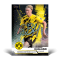 (PRE-ORDER) BVB Team Set - with numbered parallel card