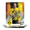 (PRE-ORDER) BVB Team Set - with numbered parallel card