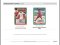 2021-2022 Donruss Soccer Road to Qatar Jumbo Fat Pack Box