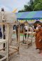 บุญของท่านสำเร็จแล้ว การจัดสร้างพระพุทธเมตตาชัยนันท์ปางมารวิชัย  ได้เสร็จสมบูรณ์เรียบร้อยแล้ว