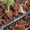 Drip Irrigation