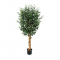 Olivie Tree - H 155 cm