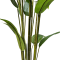 BIRD OF PARADISE - H 195 cm.