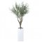 OLIVE TREE - H 244 CM