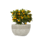 กระถาง OFI 541 Planter tapered low deco rim สีขาวงาช้าง