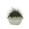 OFI 541 Planter tapered low deco rim - Ivory