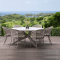 HERA DINING CHAIR - DUNE