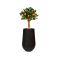 FIT 260 vase palm - Black