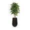 FIT 261 vase palm - Black