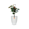 FGT 783 vase elegant low - Light grey