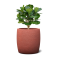 BARREL สีแดง 55x55
