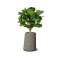 ASYM สีเทา 50x68