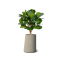 ASYM สีน้ำตาล 50x68