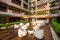 S33 SUKHUMVIT COMPLACE