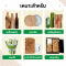 กระดาษรังผึ้งแบบมีกล่อง (Boxed Honeycomb Paper)