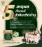 ครีมบัวหิมะมาดามหลุยส์ 45 กรัม