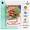 Русские сказки, загадки и пословицы. Внеклассное чтение 1-5 классы. Классика для детей / Russian Plaza