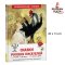หนังสืออ่านนอกเวลา Tales of Russian writers /  РОСМЭН Сказки русских писателей. Внеклассное чтение