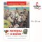 หนังสืออ่านนอกเวลา เรื่องเล่าเกี่ยวกับสงคราม   / РОСМЭН / Рассказы о войне. Внеклассное чтение