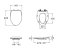 C91313 ฝารองนั่ง ELONGATE (SOFT CLOSE) (ทดแทนฝา C91311)