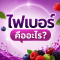 ไฟเบอร์ (Fiber)  คืออะไร