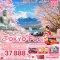 Sakura Dream TOKYO FUJI KAMAKURA 5 วัน 3 คืน